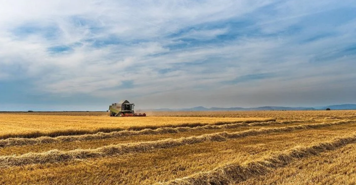 Hollanda’da hükümet ile çiftçiler arasındaki görüşmelerde anlaşma sağlanamadı