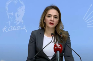 gamze-akkus-ilgezdi-saglikta-donusum-hayalleri-saglikta-cokusun-gerceklerine-carpti