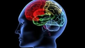 neuralink-ve-beyin-cipi-gelismeleri-elon-muskin-aciklamalari-jjzv3dxB.jpg