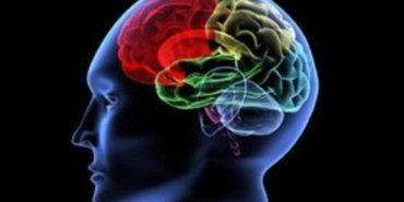 neuralink-ve-beyin-cipi-gelismeleri-elon-muskin-aciklamalari-jjzv3dxB.jpg
