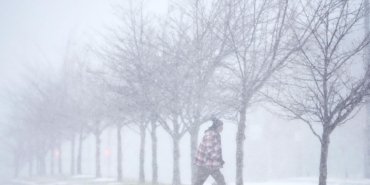 new-jerseyde-olaganustu-hal-ve-siddetli-hava-kosullari-GICgQR5I.jpg