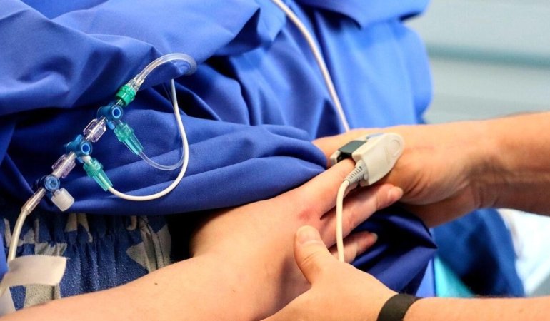 Manyok: Besin Kaynağı ve Güvenlik Önlemleri