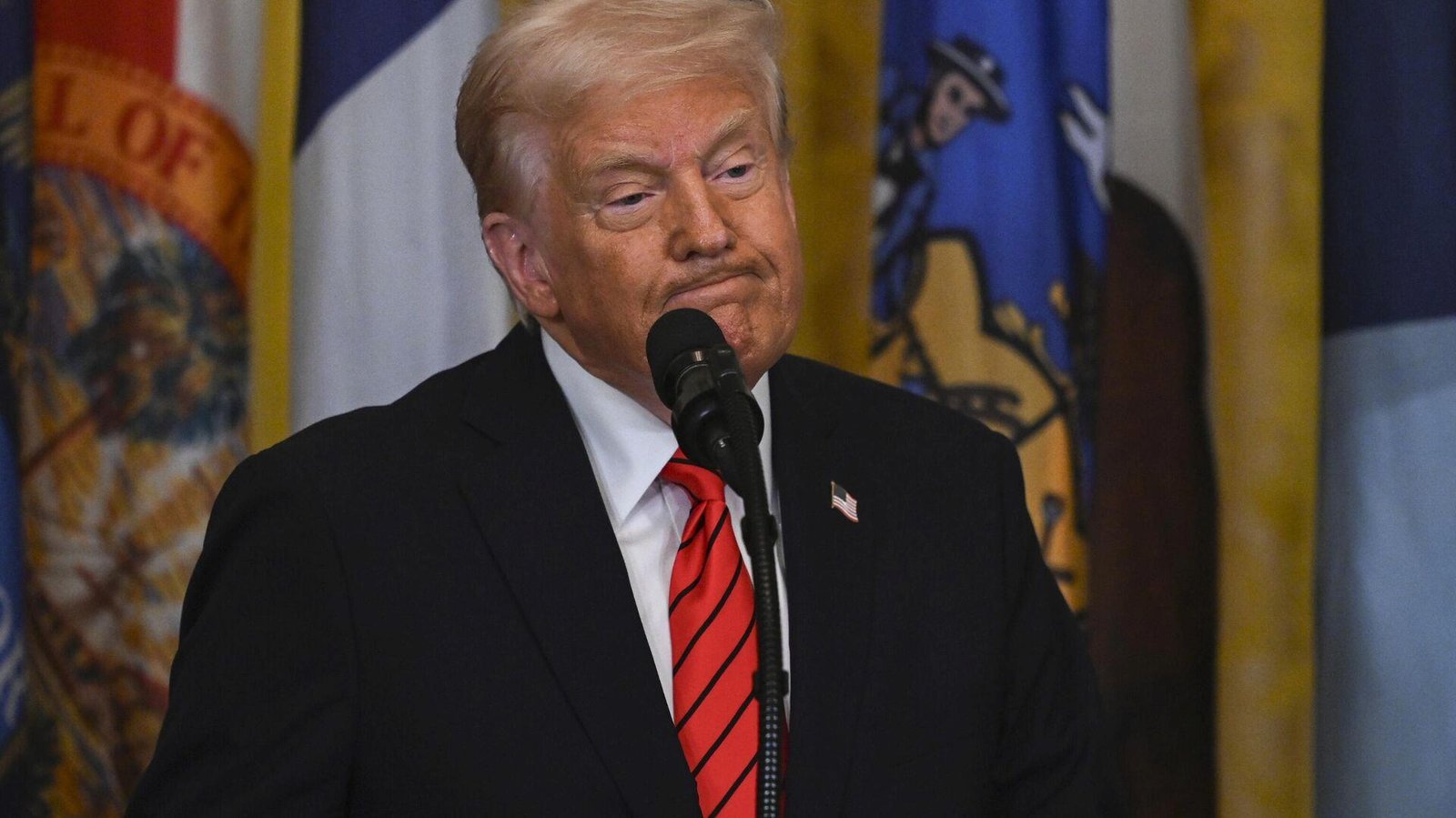 trumptan-le-pene-destek-cadi-avi-HREXdx3S.jpg