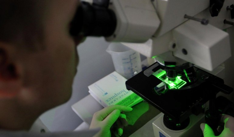 Kısa Sürede Yayılan Et Yiyen Parazit: Meksika’daki Salgın ve Ulusal Ekonomik Etkileri