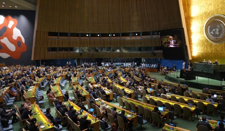 New York Bildirgesi ve Filistin için İki Devletli Çözüm Yolu: 2024 Yazı Paneli