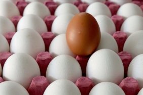abdde-gida-guvenligi-alarmi-yumurta-geri-cagirma-ve-salmonella-riskine-karsi-onlemler-nL4mGkbN.jpg