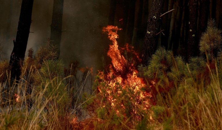 Gironde’de Orman Yangınları ve Sıcak Hava Dalgası: Yetkililer Uyarıyor