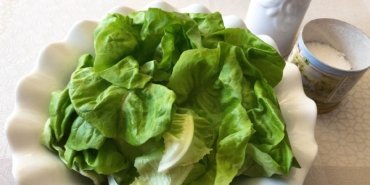 taylor-farms-ve-cyclospora-genisleyen-sorusturmanin-seffafligi-icin-net-noktalar-CSzTUNqI.jpg