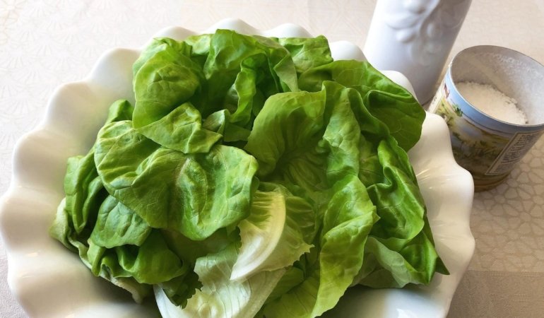 taylor-farms-ve-cyclospora-genisleyen-sorusturmanin-seffafligi-icin-net-noktalar-CSzTUNqI.jpg